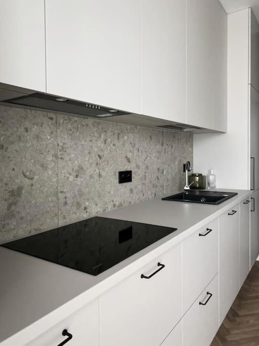 Apartament Bonhaus Wislanetarasy 克拉科夫 外观 照片